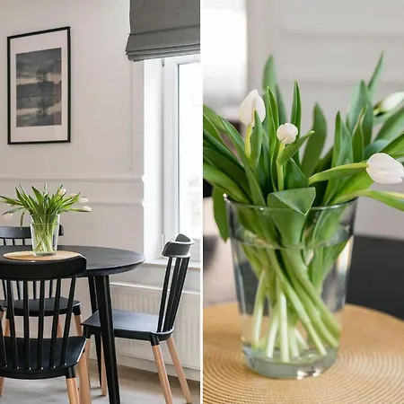 Sanhaus - Mewa - Komfortowe Przy Deptaku דירה *