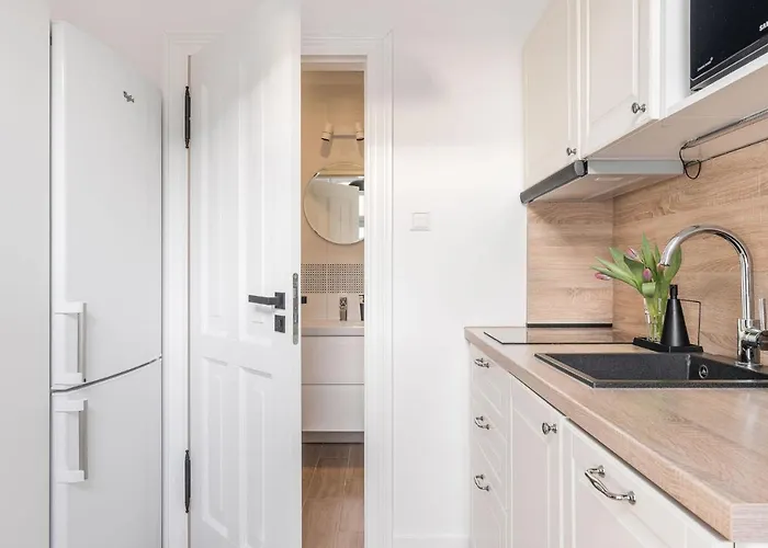 Sanhaus - Mewa - Komfortowe Przy Deptaku *